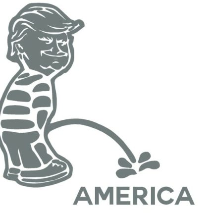 Donald Trump Peeon Decal AMERICA