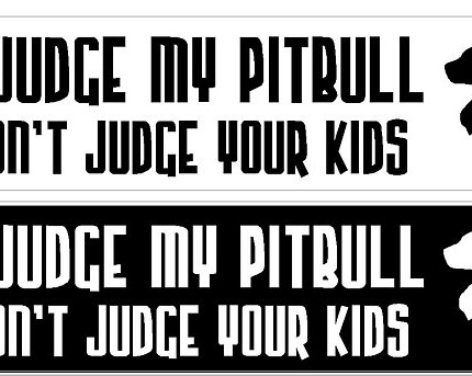 dont judge my pitbull 2 bumper stickers