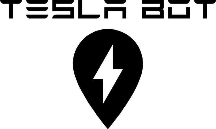 Elon Musk TESLA BOT DIE CUT DECAL 4