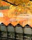 Fall Colors Adhesive Wall Graphics 24