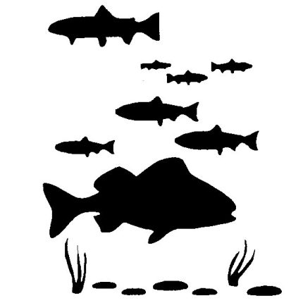 Fish Tank Decal