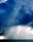 Forces of Nature Adhesive Wall Art 06