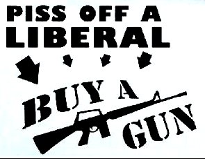 Funny Gun Control Car or Truck Window Sticker