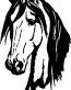 Horses Horse Animal Vinyl Car or WALL Decal Stickers 17