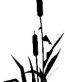 Hunting Vinyl Decal69