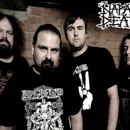 NAPALM DEATH Color Band Decal