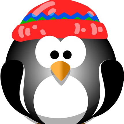 penguin winter hat