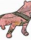 PITBULL STICKER FILLS camo nature pink