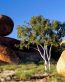 Rocks and Canyons Vinyl Wall Graphics 06