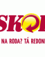 Skol Beer