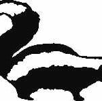 Skunk Vinyl Decal