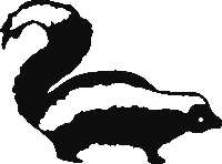 Skunk Vinyl Decal