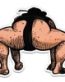 Sumo Funny Vinyl Sticker Waterproof Decal FOR GUYS