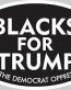 2020 TRUMP political sticker  17
