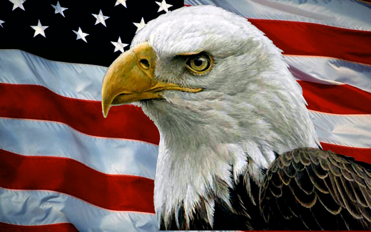 American-Flag-and-bald-eagle STICKER 2 - Pro Sport Stickers