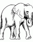 091 Elephant Vinyl Sticker