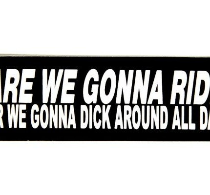 are-we-going-to-ride-or-are-we-going-to-dick-around-all-day-girl sticker