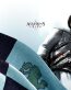 Assassins Creed 66