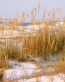 Beaches and Coastal Vinyl Wall Graphics 030