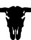 Buffalo Skull Decal