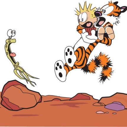 Calvin and Hobbes Rectangular Color Stickers 08