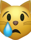 CAT Crying Emoji