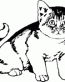 Cat Decals 08