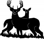 Deer Sticker