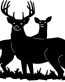 Deer Sticker
