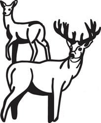 Deer Hunting Decal Sticker 16