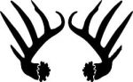 Deer Hunting Decal Sticker 45