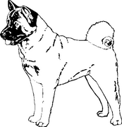 Dog Breed Decal 02