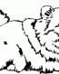 Dog Breed Decal 09