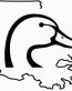 Duck Hunting Louisiana Decal