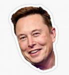 ELON MUSK SMILE TESLA STICKER