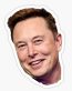 ELON MUSK SMILE TESLA STICKER