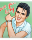 elvis presley the king music band sticker 8