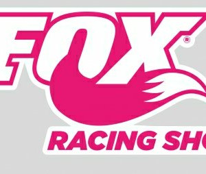 F Racing-Shox-Pink-Tall-Decal 2