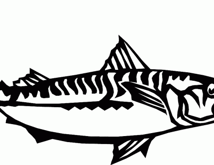 fish die cut boating decal 6307