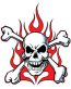 Flaming Skull Decal Sticker 4