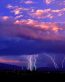 Forces of Nature Adhesive Wall Art 34