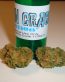 Green Crack Herbal Solutions Bud Decal