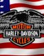 H D USA 4 Rear Window Graphic