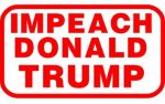 IMPEACH DONALD TRUMP STICKER