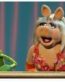 Kermit the Frog Decal 8