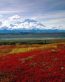Landscape Vinyl Wall Graphic Decals 08