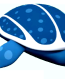 leather back turtle color sticker