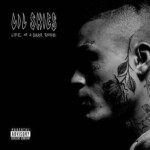 LIL SKIES DARK ROSE  RAP MUSIC ALBUM COVER STICKER