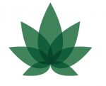 medical marijuana logo sticker green leaf overlap