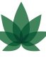 medical marijuana logo sticker green leaf overlap